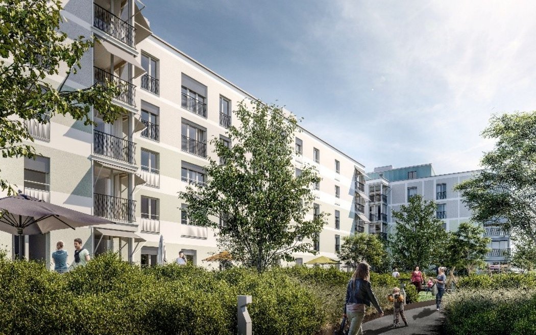 Evergrien, Limmatfeld Dietikon